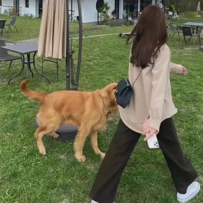 聊斋新编